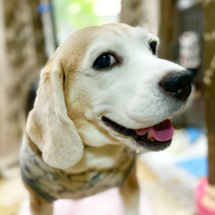 90f4cd3c 9bbb 4bd4 bd66 fb56b28b1b49 1635133664372