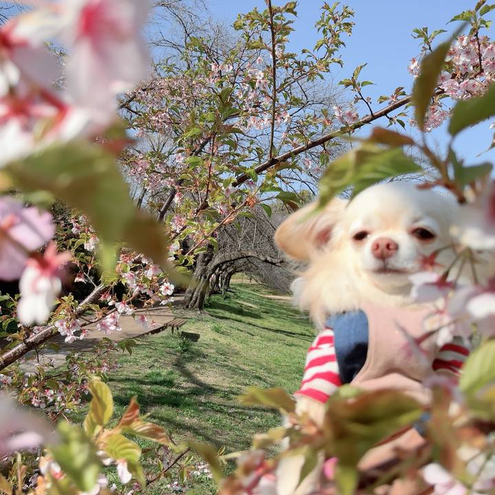 90f5560b de71 4866 bed8 8411ad0381c6 1710586229685