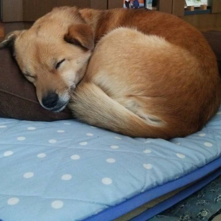 90f58ce5 ea12 4e6f bd98 202acdb6f229 1540278936748