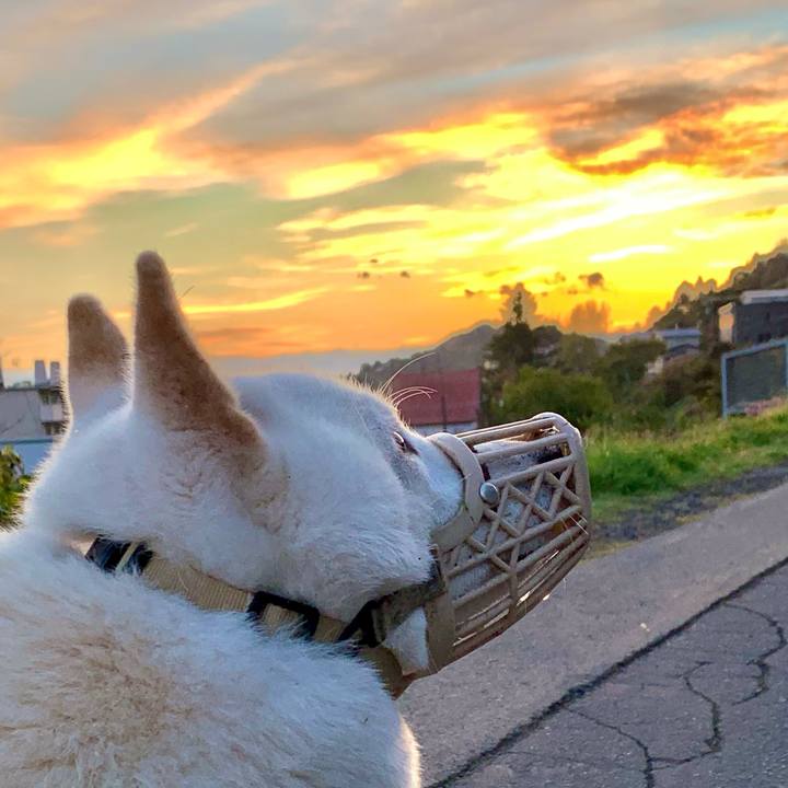 90f59f67 6f20 4a19 9073 506269b7359d 1634592254501