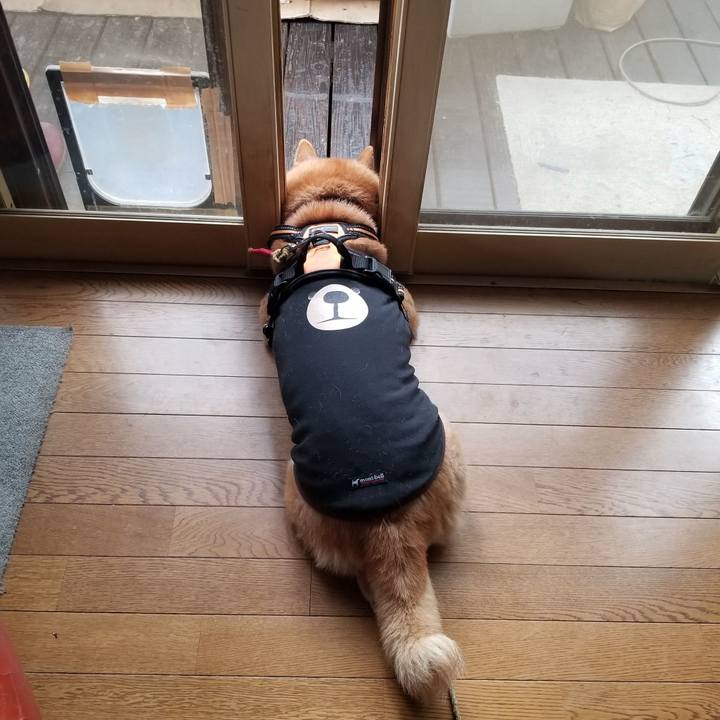 90f5b72d 0051 472d a6f7 47c21f671d8b 1730261830342