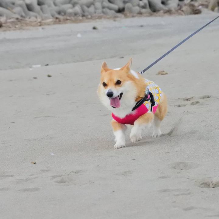 90f61eb0 6c49 4c44 9ca8 1e0dbc20cdc0 1604762529994