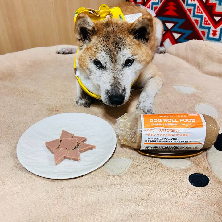 90f626f2 5920 4428 8c89 b8e7c623cddc 1766821041210