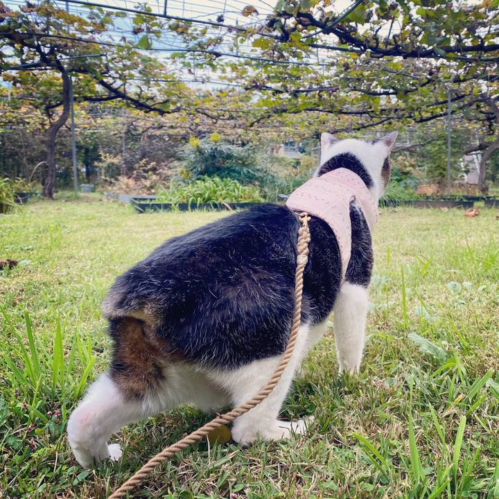 90f646c1 09e1 4d32 90ea 4e5146368935 1603893143240