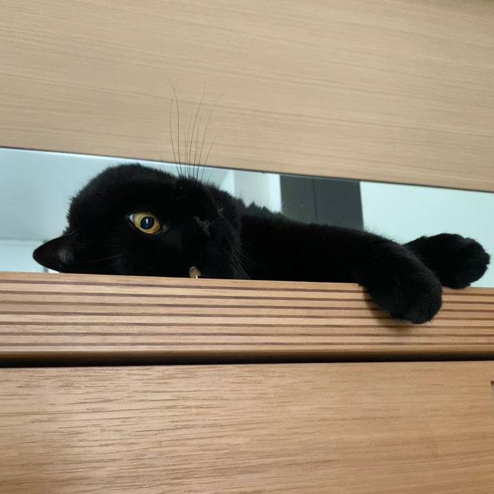 90f669ab 2961 44e2 ba94 df2d1b782b20 1756277017736