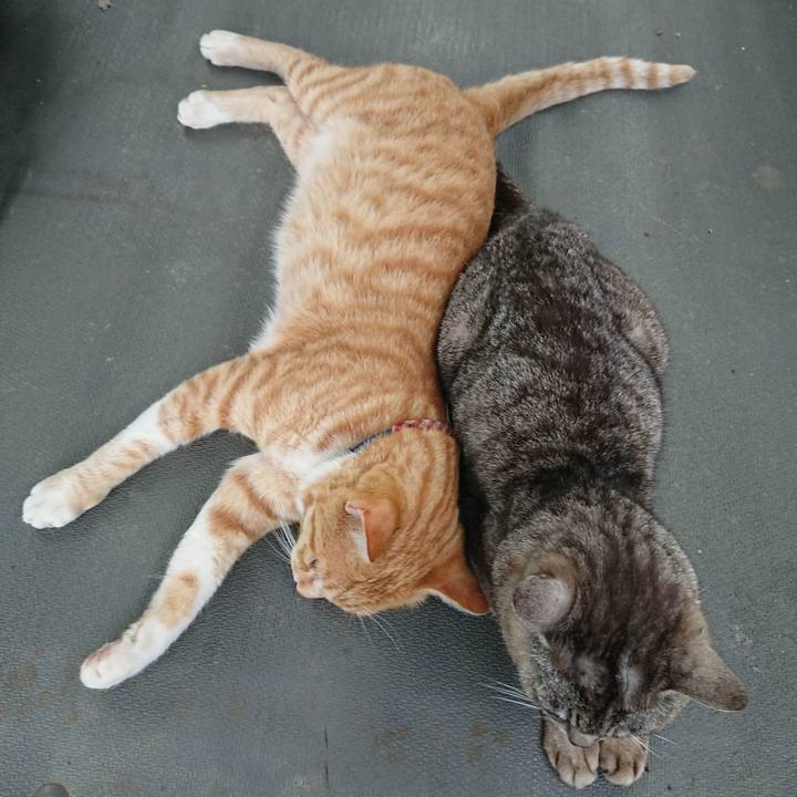 90f67ab4 640c 47a1 8852 0c4b470c3286 1563527339313