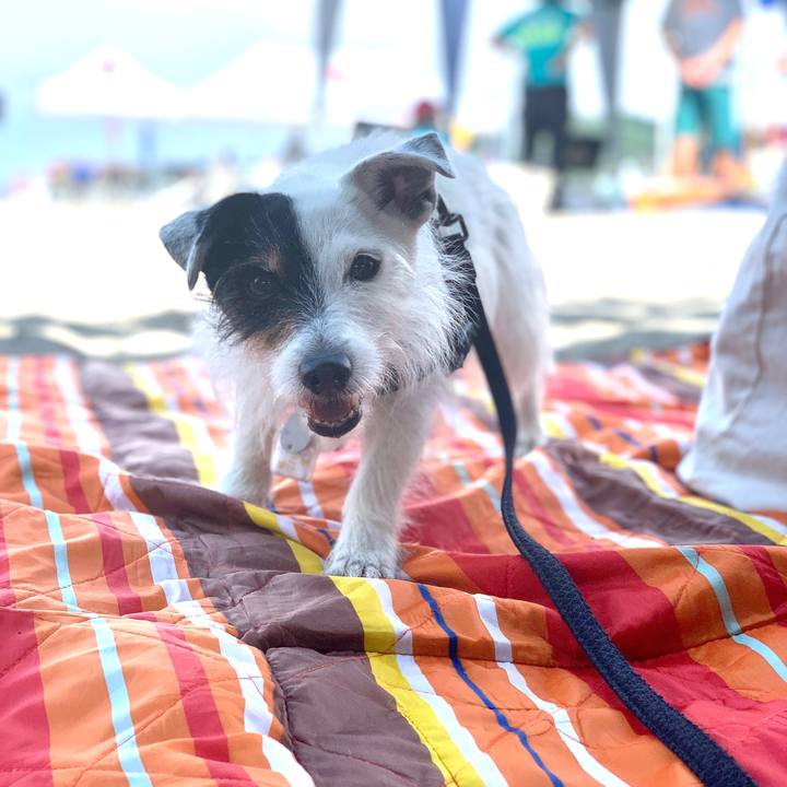 90f67ac7 d6f4 48bf a975 54f537624791 1716695617722