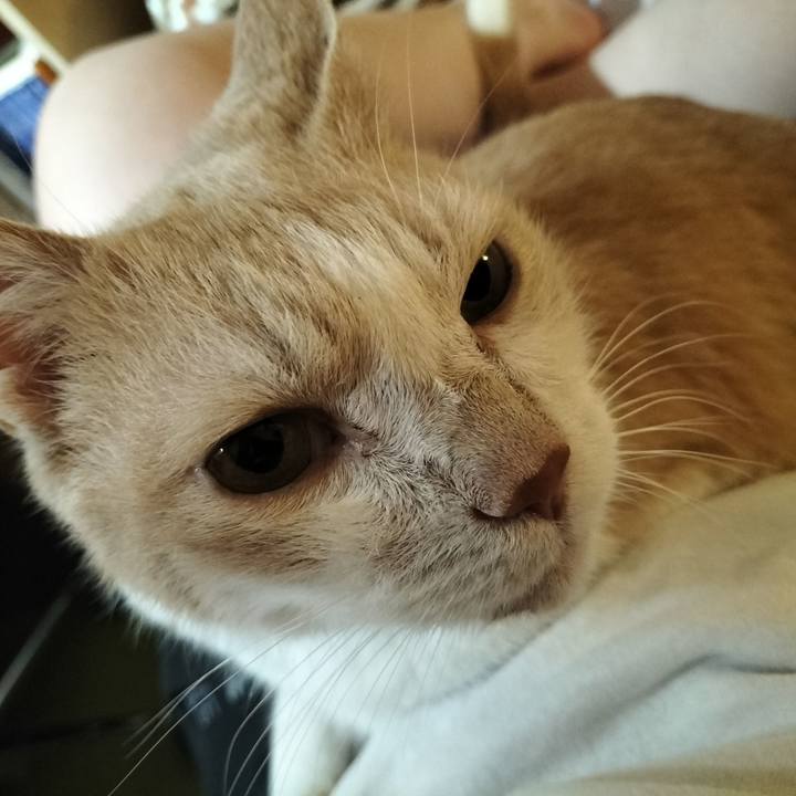 90f68774 bfb8 4efa 86a3 3c9fcb27d6f7 1661682908933