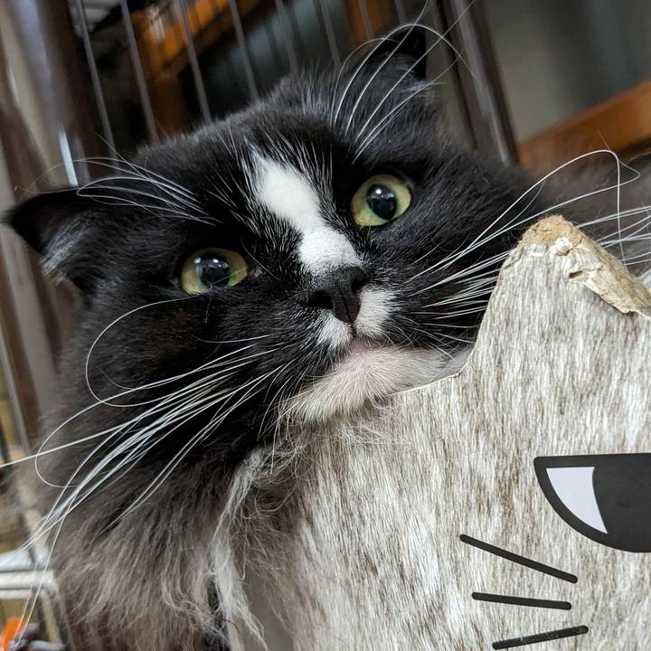 90f68b07 2fed 4117 b6c7 b9794dd04cba 1699275028456