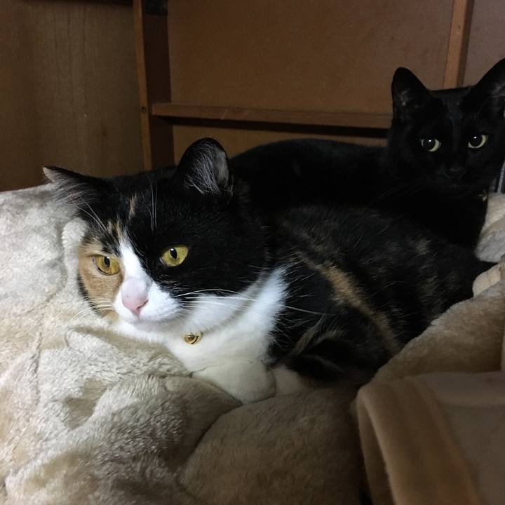 90f69a04 a476 4245 8029 0fc34da5349f 1513519317956