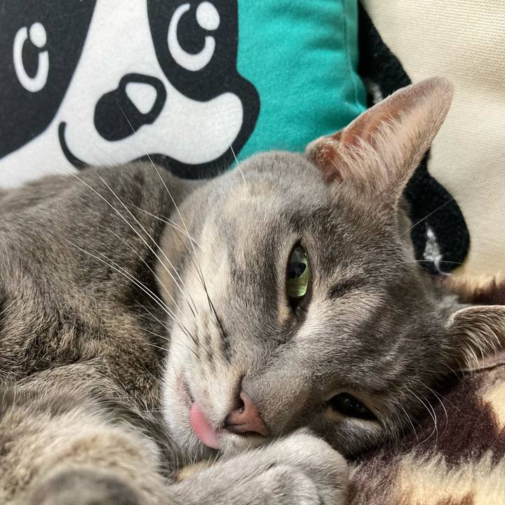 90f69e90 1d8f 41da b418 d633a05172f1 1655816897827