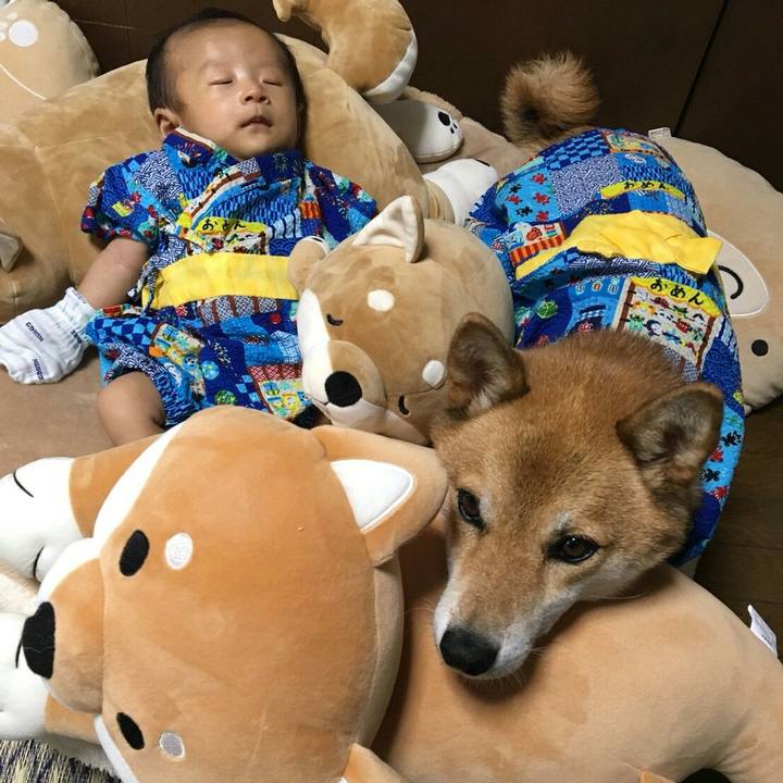 90f6ceb3 1220 430a ae46 c4385f66bd59 1535528508483