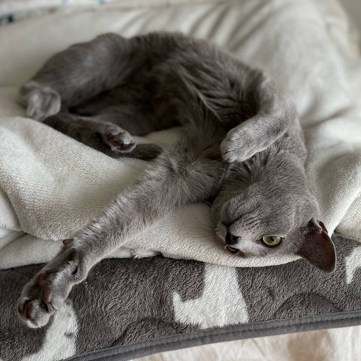 90f70219 c4d7 42a4 934e cd49b2256187 1613796505311