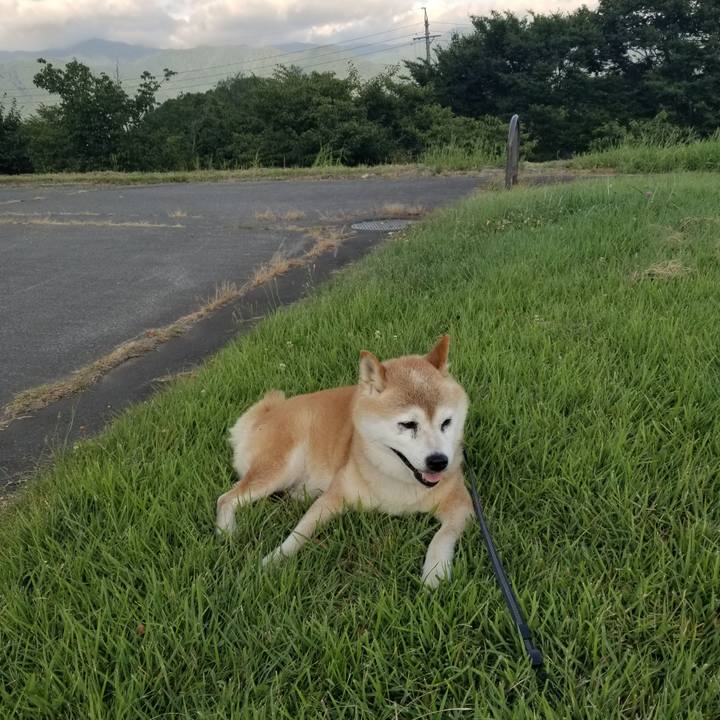 90f70cee a6d6 4225 a36b b258cb8c03e5 1723279436703