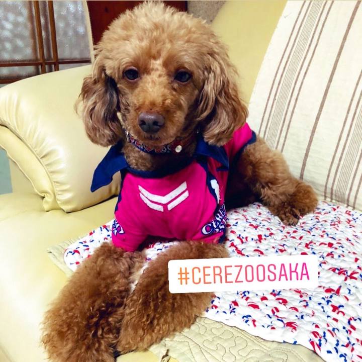 90f747ff d786 4a78 9303 1cbf55b7e397 1593928829549