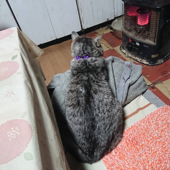 90f79512 04ae 4d02 b6e5 c0be33456709 1578092533083