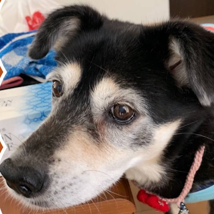 90f804a3 fd95 4895 b720 c88e9f1fe906 1758324126529