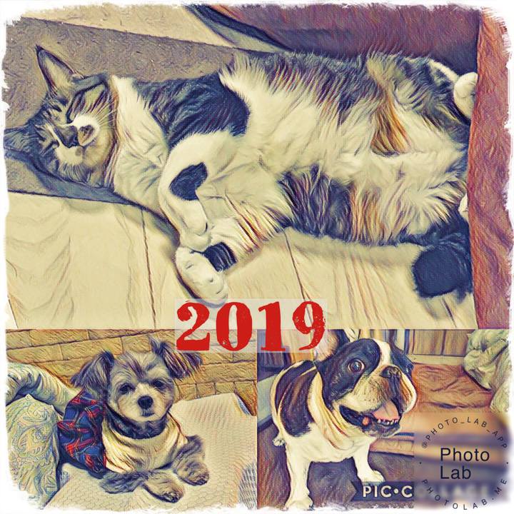 90f86ef3 e619 4195 bdf0 18ad4d4bd5f5 1546298223228