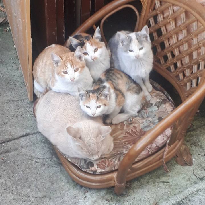 90f8892b 8f9f 4208 b5cc 5c33a06fdd00 1604565635724