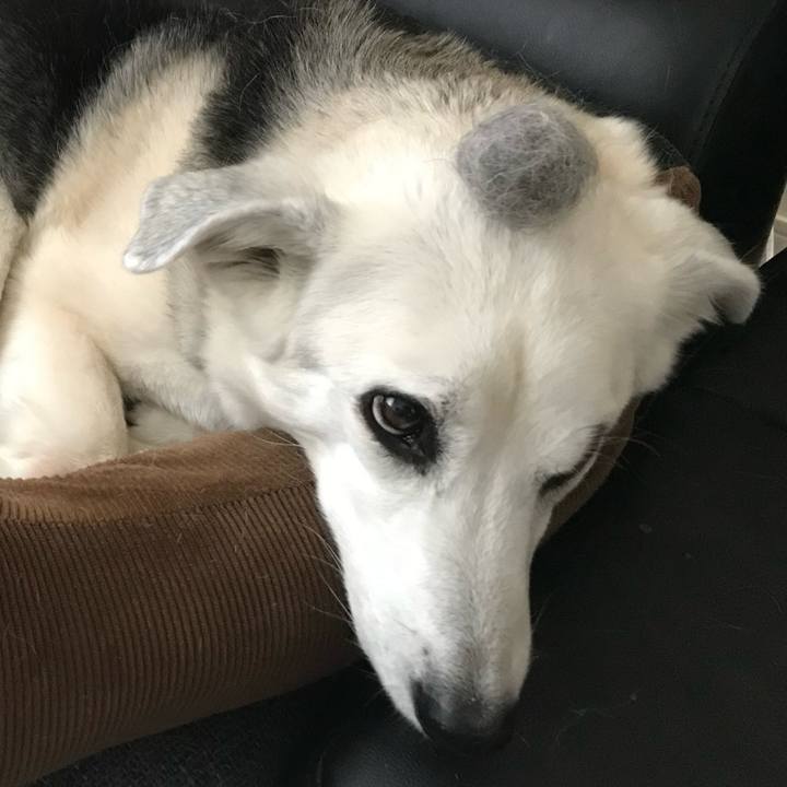 90f8d441 15b1 482d 8bcd 68c40e25fec1 1686021702025