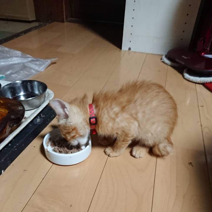 90f8d8a0 43de 4971 a8f9 6300a0c158f2 1628886488064