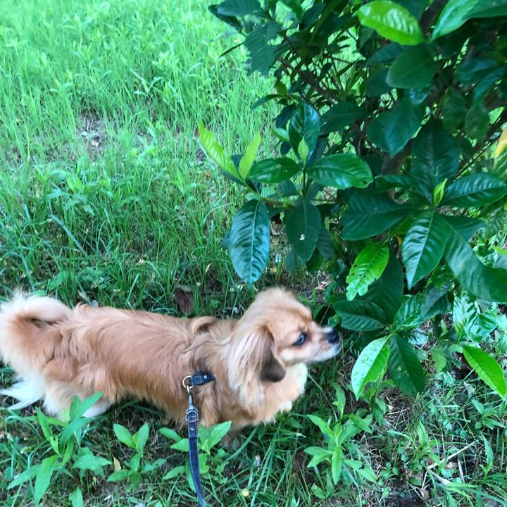 90f8ea90 5f9c 4236 83b5 ced37c4053ee 1532205055619