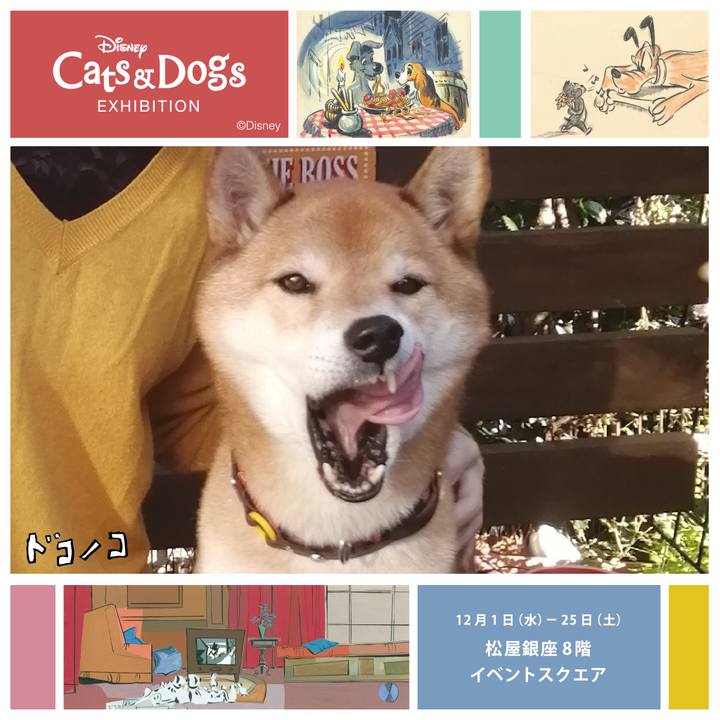 90f9200b 869b 4a4f b109 e4d49cf341e2 1638691345928