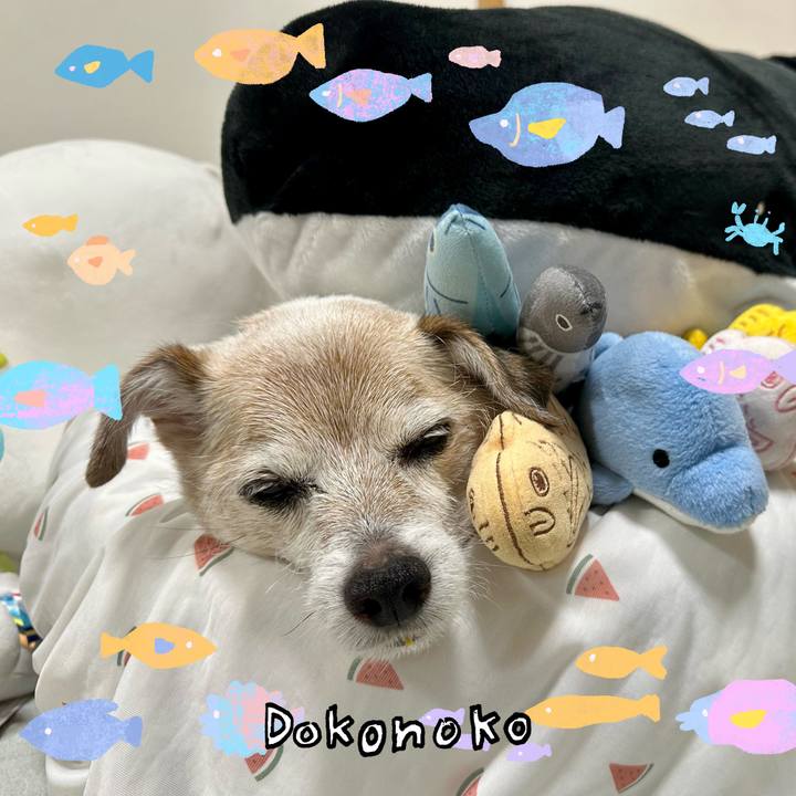 90f92dd8 41d9 411b baad 67d9833494f6 1755344437373