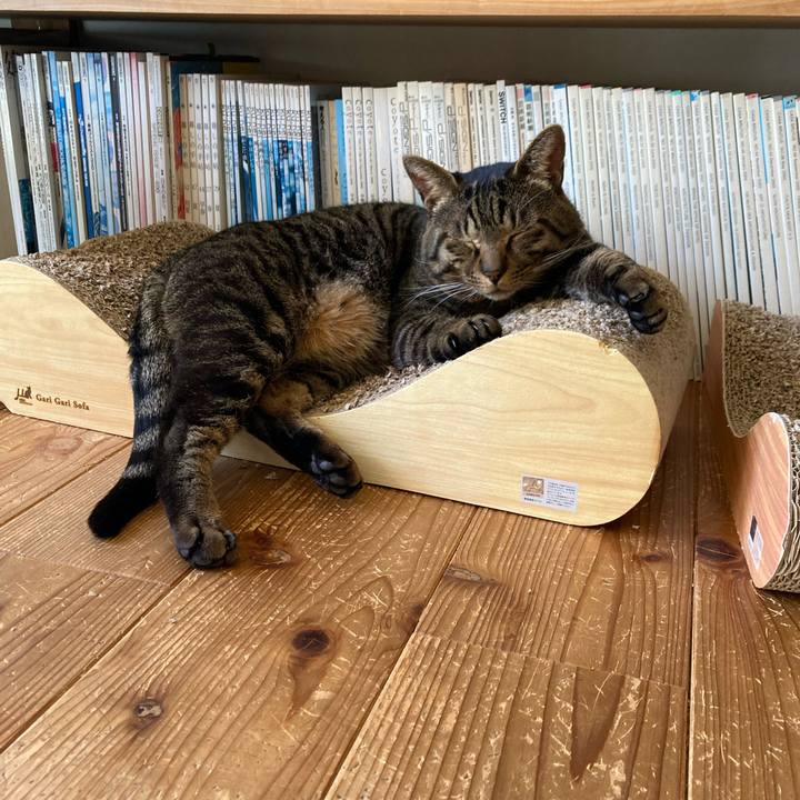 90f9b3c2 9764 4b34 a387 1c8278a1a229 1679211889438