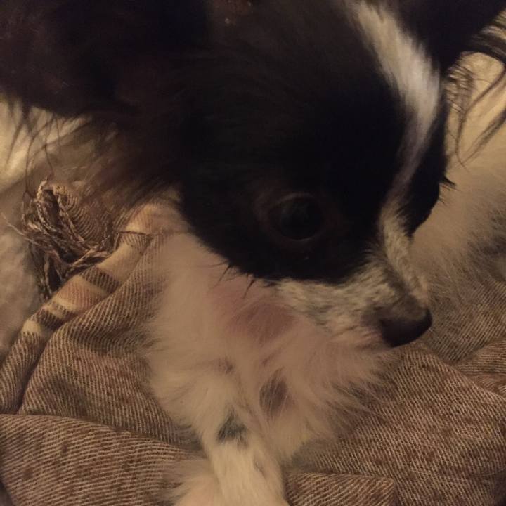 90f9b47c fb27 4cba af6b 69976393b942 1523831554271