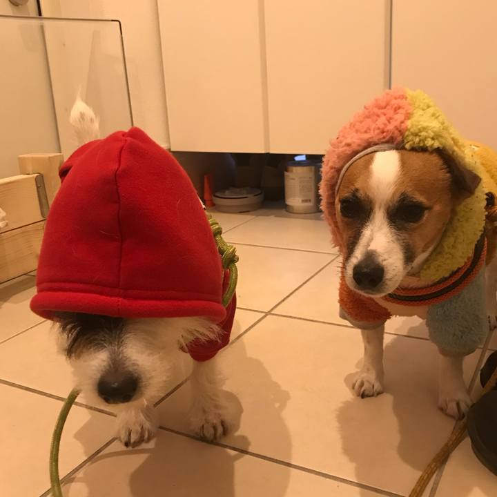 90f9d71c 951c 469b ad9f 960499edbca1 1544425556665