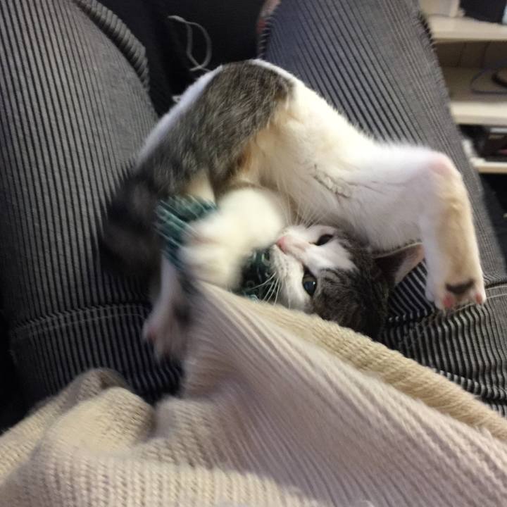 90f9ef97 d699 4257 af10 79e6e55404be 1524611107618