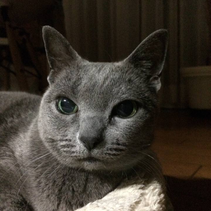 90fa3358 bf13 4a86 956b 8f2519d767a7 1514324093348