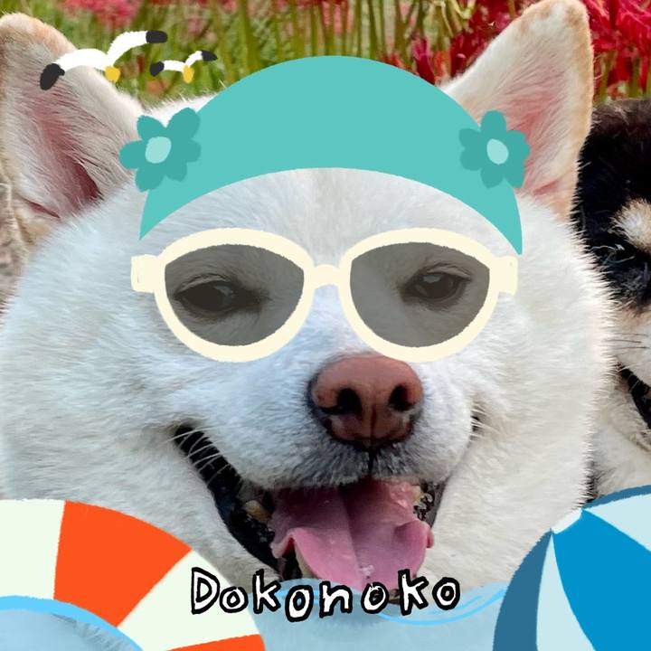 90fa42ac f749 4737 8858 58187b2a1512 1723397452023