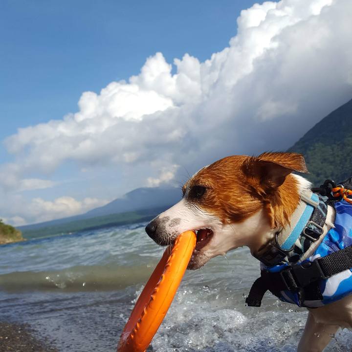 90fa5cb9 cbfd 4851 ae73 8efbbb2ddb86 1567410340993