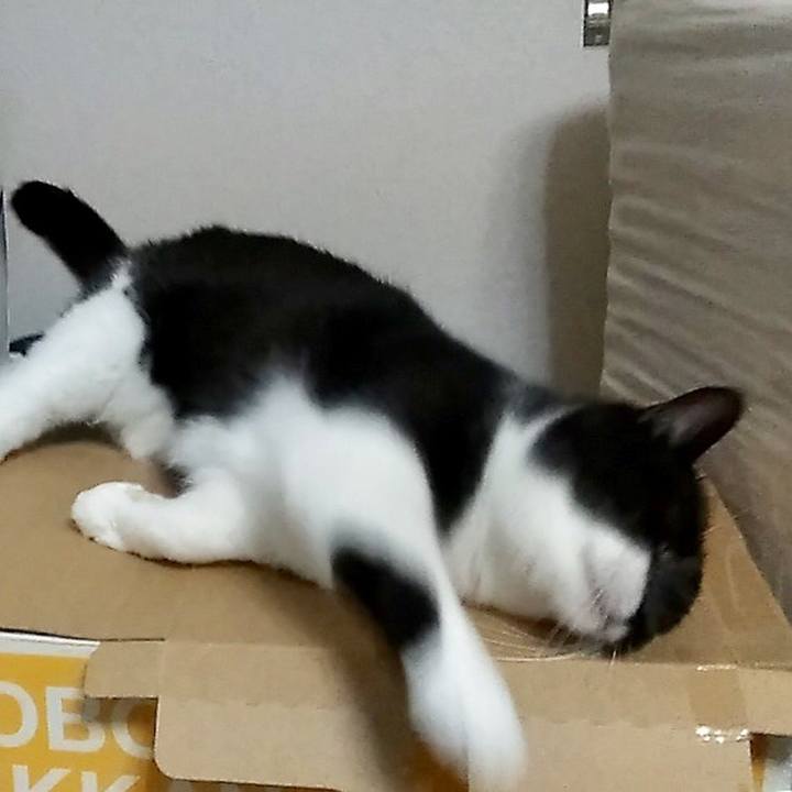 90fa8b37 eff6 4a3f b138 f6e1fb60cb52 1555500199060