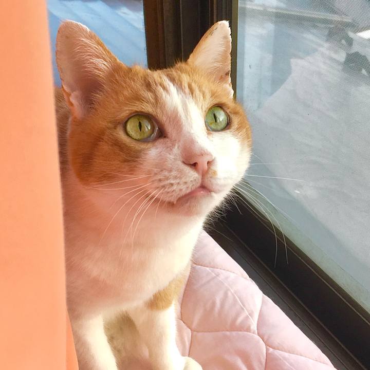 90fa9721 342e 49f5 a9fd 91f4762bc0e5 1584689247964