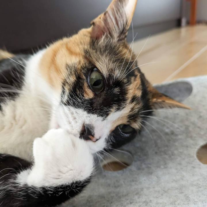 90faa28c f541 426b 9e0c e1d99b91afa1 1684986373819