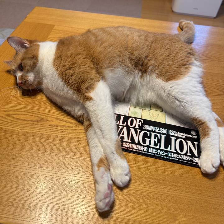 90fadd9a 5304 4d72 8a36 bb76cfaa13d5 1769167745604