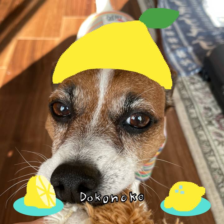 90fb1f05 e265 412b a011 de6885103595 1741079484241