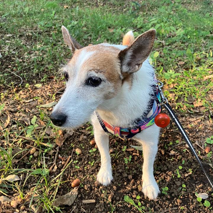 90fb36ae eb0f 4394 a89d 6ae56d0fe042 1729466560349