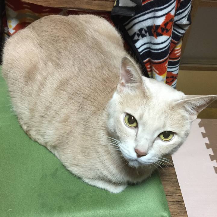 90fb5359 647e 484a 9d89 2ce2a62972ae 1580816318108