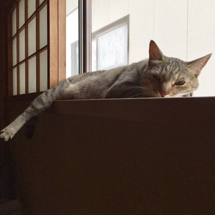 90fb6ba3 6b99 4bec 87d6 3149b3a732d4 1532465908502