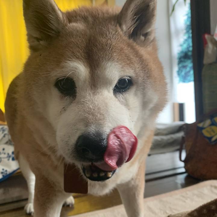 90fb734b 690e 4c82 981e de0e671e10a1 1604368184015