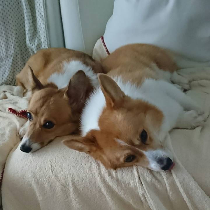 90fb98f8 b0e2 4a05 b291 a8cf2a9bed4f 1531731782455