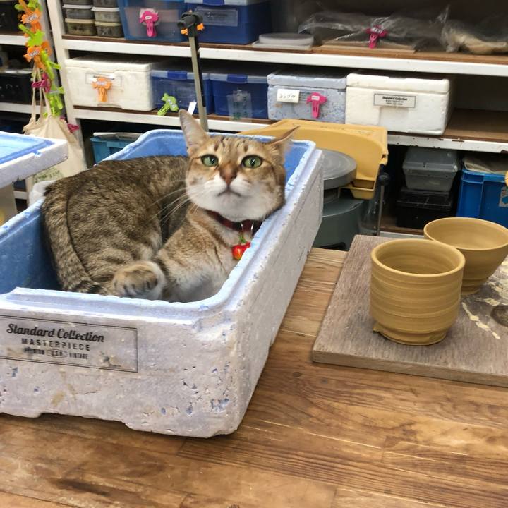 90fbc3ed 257f 45ca 9395 4ec74316792b 1733538605523