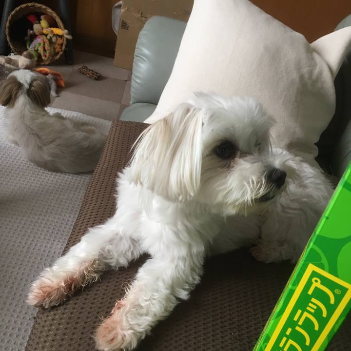 90fbe151 cae9 4dd8 b890 82a74507d3fb 1530780472088