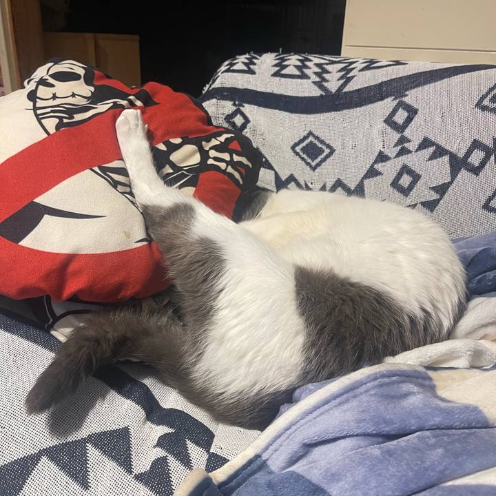 90fbf780 dbe3 447e a3b0 c5cbd9d36bf1 1680271887237