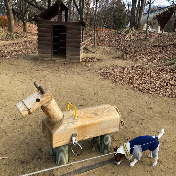 90fbfd2c aaf9 400b 8694 94b45d7db53f 1544339374989