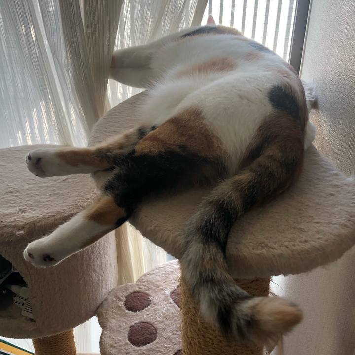 90fc51ea 2c83 477a b8bd 166169d8220c 1602027413618